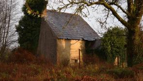 Why does a grant to do up vacant houses exclude rural areas? 