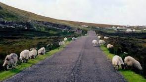 Busy North-West Donegal road will be closed on Wednesday and Thursday

