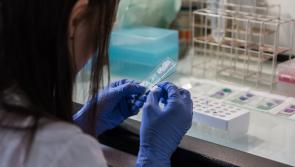 Students in Donegal asked to protect each other following meningitis cases
