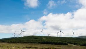 Proposed community exhibition on wind farm proposal is cancelled 