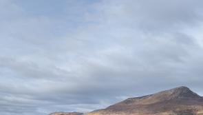 It Occurs to Me: Go rest high on that mountain 