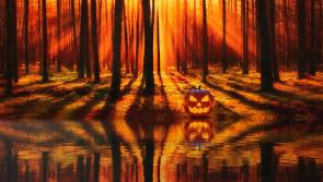 Witches, scary pumpkins (or turnips!) and visitors   from   the Otherworld