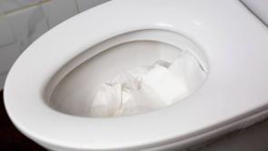 People stuffing toilet rolls down public toilets are vandalising Buncrana loos claims Cllr Rena Donaghey



