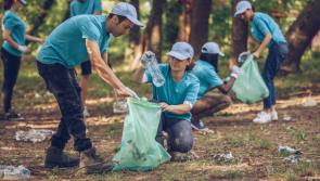 Everyone's a winner taking part in the Tidy Towns competition says councillor


