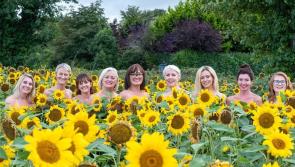  'Calendar Girls the Musical' takes to the stage next week in Letterkenny