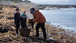 New visual arts project 'Snapshot of a Coastal Community’ aiming to connect Inishowen's young people