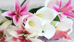 Deaths in Donegal, Tuesday evening, November 29