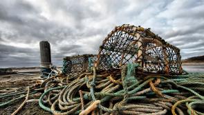 Thieves cooked stolen lobster on Donegal beach