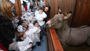 It Occurs to Me . . . . . And the wee donkey 