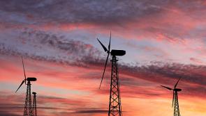 ‘Enough is enough’ says conservation group fighting wind farm development



