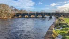 2023 fishing cast off for famous salmon river Drowes starts on Sunday   