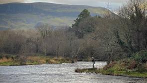 The quest continues as the famous 'first salmon' remains elusive