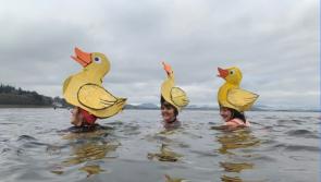 In Pictures: New Year's Swim at Mountcharles in aid of RNLI
