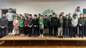 Gallery: St Naul's GAA club underage and ladies presentation nights