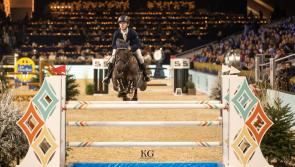Ben Walsh tastes European pony jumping success 
