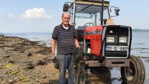 Donegal's oldest councillor retires next Tuesday