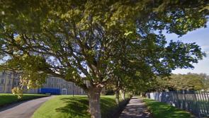 Damaged car discovered in secluded area of St Conal's old hospital grounds