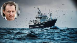 Public consultation on herring stock management in North-West
