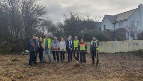 Green initiative will see 1,000 native trees planted in Bundoran



