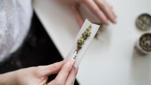  Donegal had 300 people looking for cannabis addiction treatment in five years