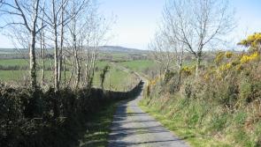 Hedge-cutting season comes to an end

