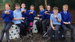 Gallery: Pancake Tuesday in aid of 'Caoimhe’s Fight to Walk' at St Eunan's Laghey 