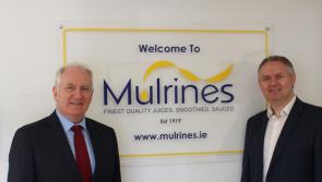Mulrines appoints Michael Lyttle Managing Director to lead company growth

