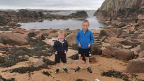 Fossils older than dinosaurs found on beach in Donegal