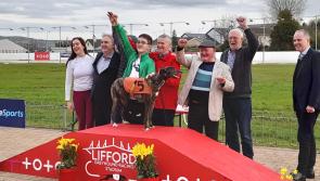 Cheers in the air as the traps finally reopen at Lifford Greyhound Stadium 
