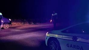 Gardai plead for road safety after driver caught at 153km/h