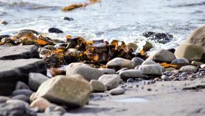 Photo competition invites you to show off your favourite corner of Donegal 