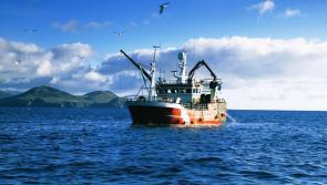 €3.5 million in short-term funding for Inshore fisheries sector


