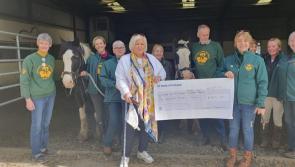 Donegal Harriers Fancy Footwork Pays Off 