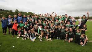 Setanta beat old rivals Burt at the Cross in Senior Hurling League