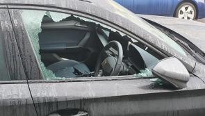 Would-be thieves stopped in their tracks after breaking into immobilised car  