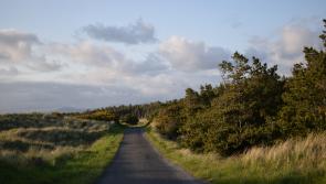 Murvagh forestry removal and dune restoration plans outlined at meeting