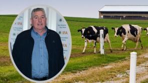 'Fear and uncertainty' among Donegal dairy farmers over cow cull 

