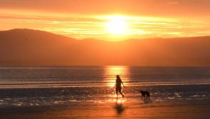 Opinion: An appreciation of our amazing shores this World Ocean Day