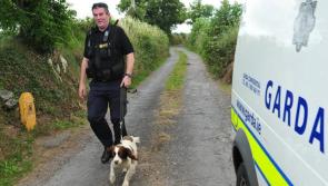 Donegal to get drug sniffer dog, Chief Super confirms