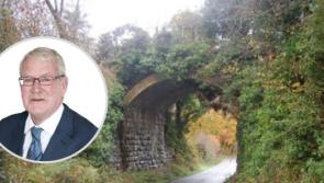 Call for remedial works on 'iconic' 140-year-old railway bridge