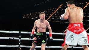 Jason Quigley shows his worth in defeat to Edgar Berlanga