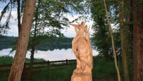 OPINION: To the waters and wild  -  MacManus Estate has it all in abundance