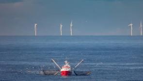 Donegal fishing chief expresses concern over locations of future  offshore wind farms





