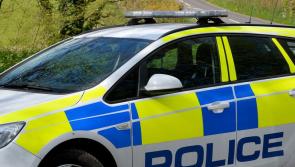 Woman in 'serious' condition after car collides with tree