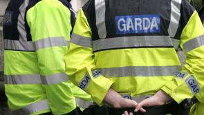 Part of man's ear bitten off during Ardara assault