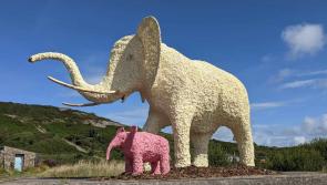 You won't miss this elephant in the room at Fort Dunree