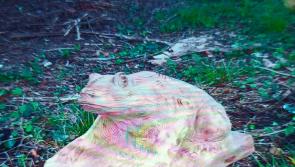 Beautiful wood carving stolen from MacManus Estate woodland walk