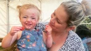 Can you help get little Millie her safe space bed?