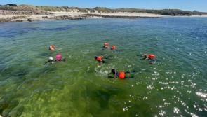 Change of location for  swim in aid of Donegal Cancer flight and services