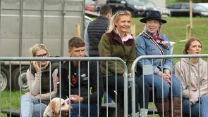 In pictures:   Ballyshannon Agricultural Show brings a hive of activity